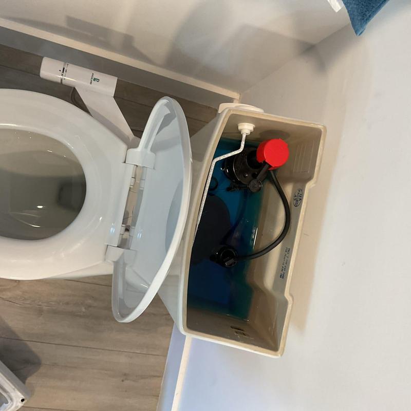 Toilet tank interior with flushing mechanism parts