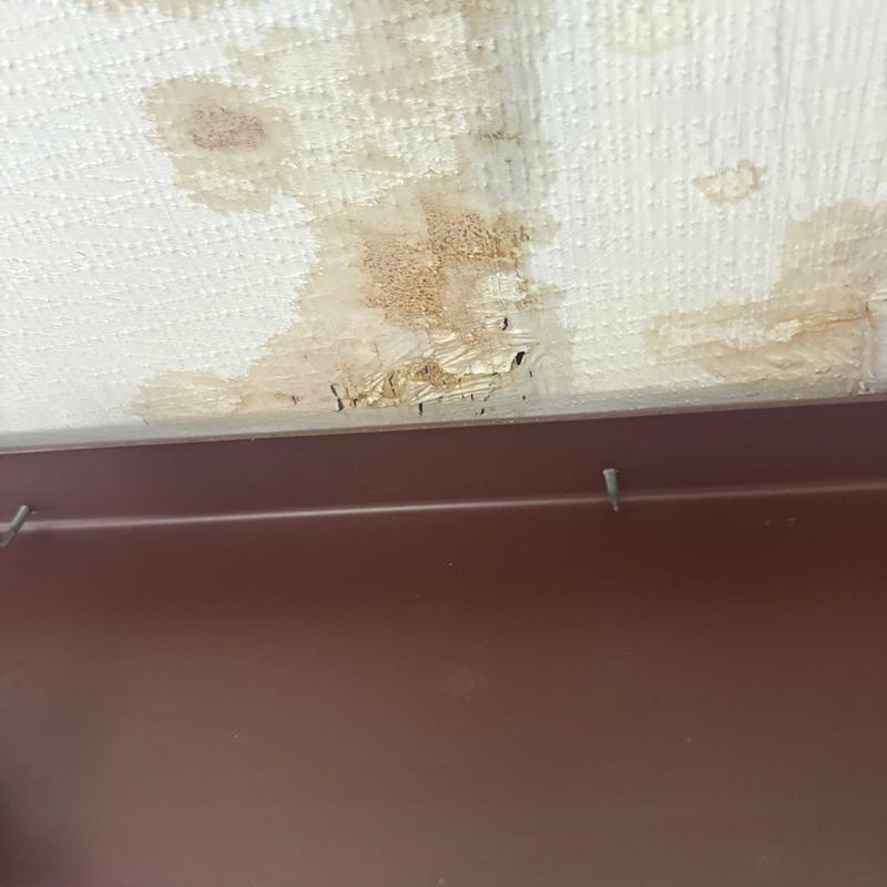 Ceiling water damage and mold stains near metal trim