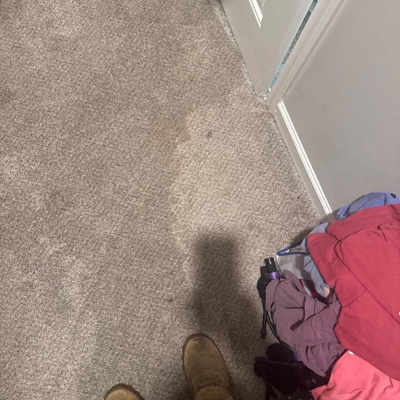 Carpet cleaning evaluation near doorway and clothing pile