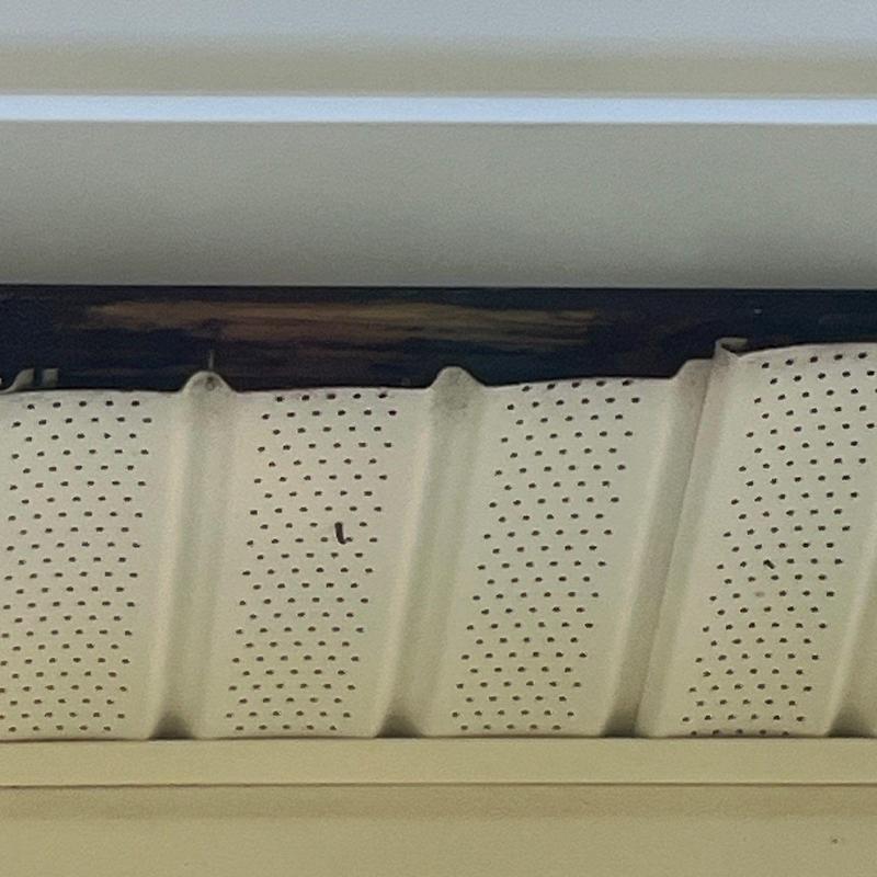 Soffit vent panel with insect screening and damage