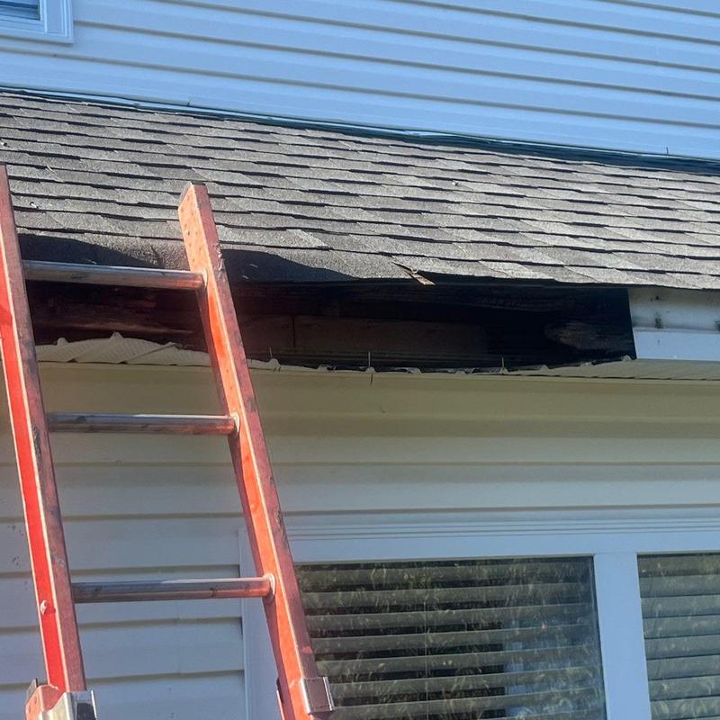 Roof shingles with damaged fascia board and ladder