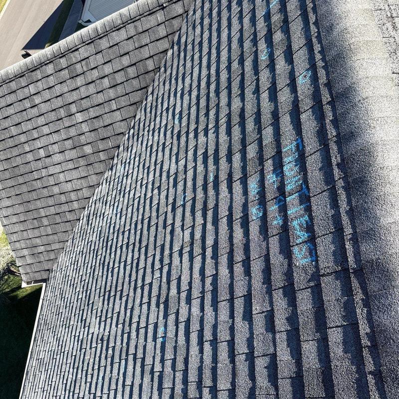 Asphalt shingle roof with hail damage markings
