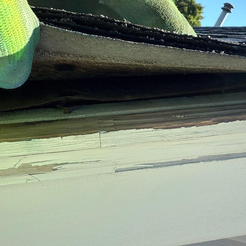 Roof asphalt shingles with curling and damage