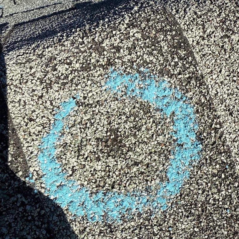 Asphalt shingle hail damage marked for repair