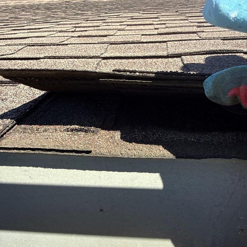 Hail-damaged asphalt shingles lifted for inspection