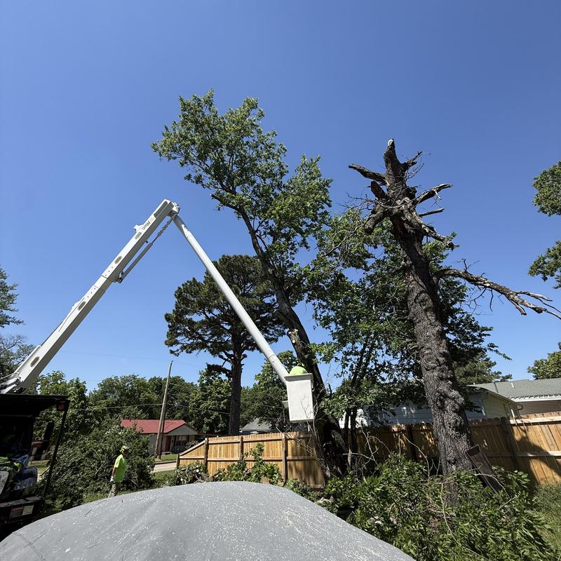 Dead tree removal using bucket truck in backyard Dead tree removal using bucket truck in backyard