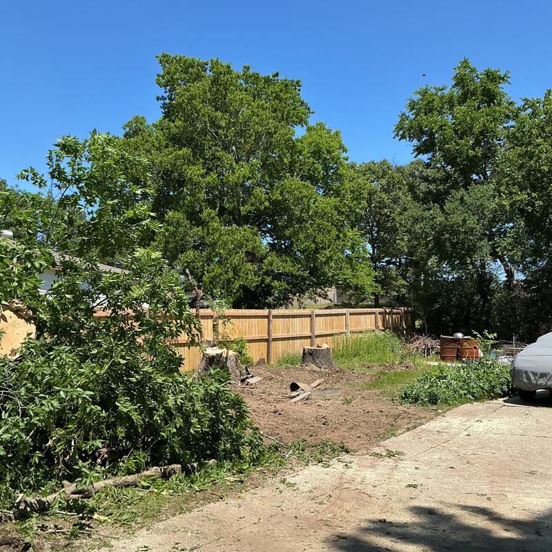 Tree trunks and branches cleared from residential yard Tree trunks and branches cleared from residential yard