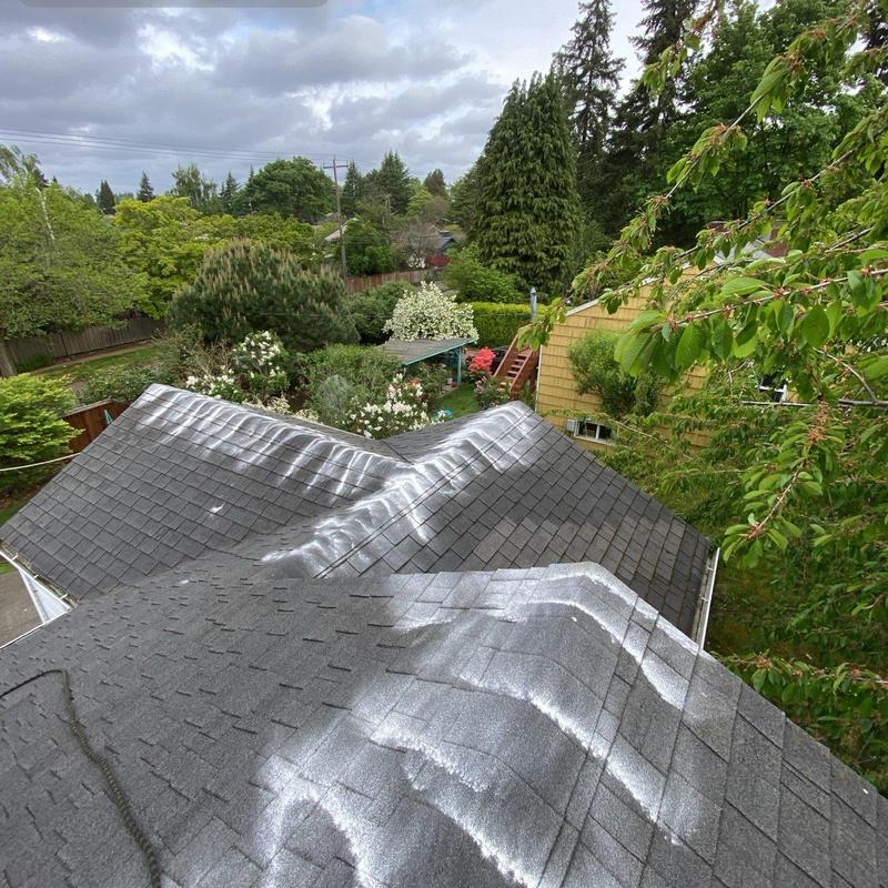 Roof shingles with white moss treatment on residential roof