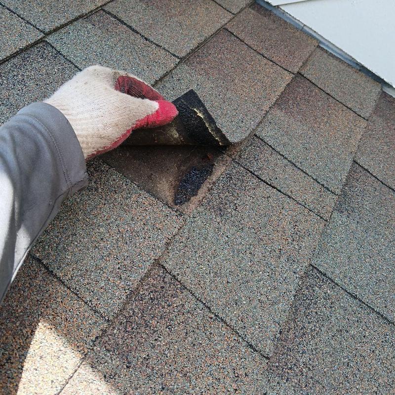 Asphalt roofing shingle lifted to show damage