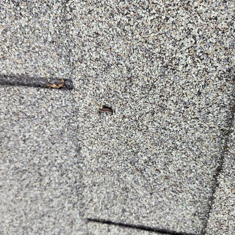 Asphalt shingle showing nail pop and minor damage