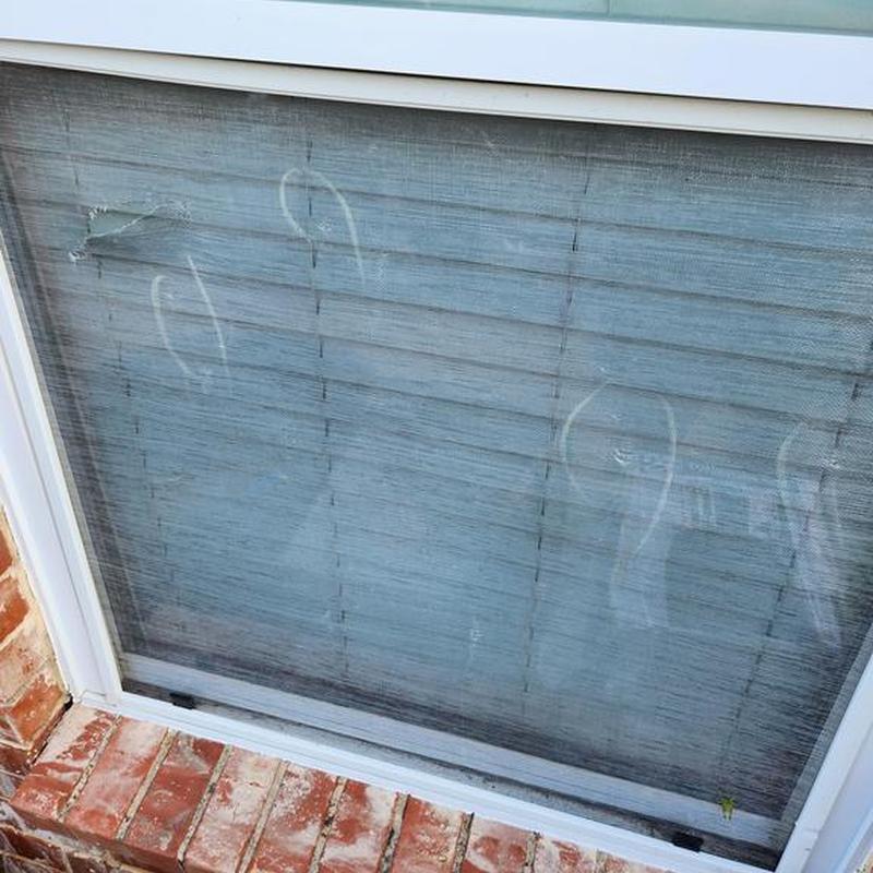 Window screen with hailstorm damage on brick wall