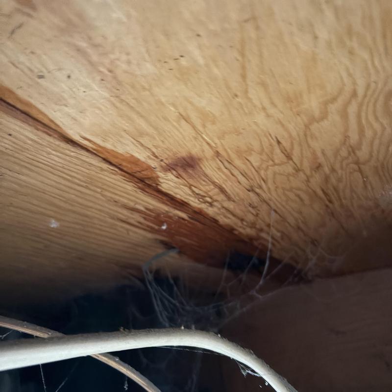 Prep sink water leak causing ceiling water damage