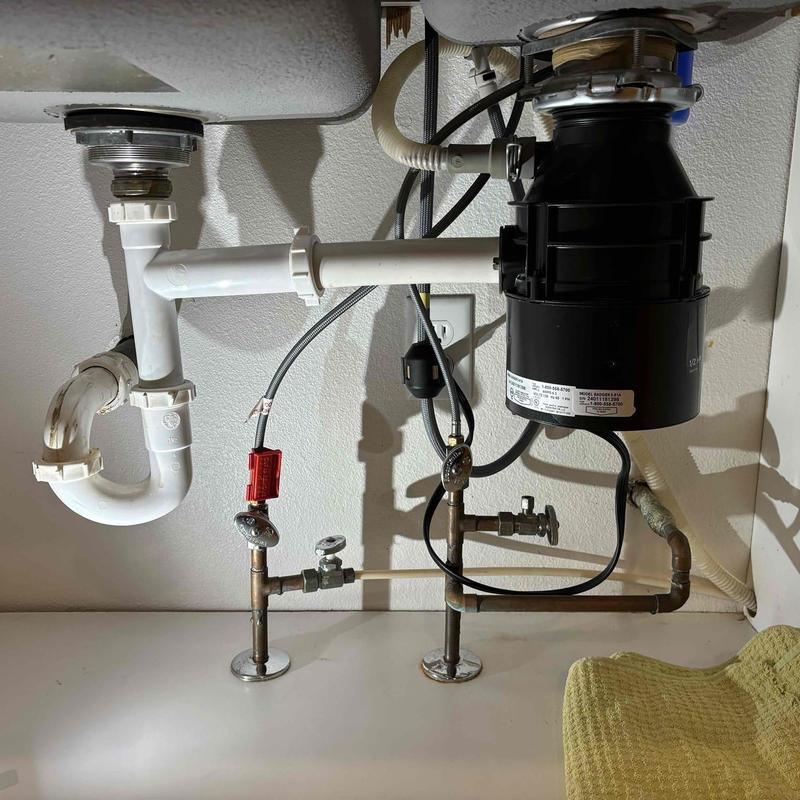Garbage disposal and drain plumbing under sink