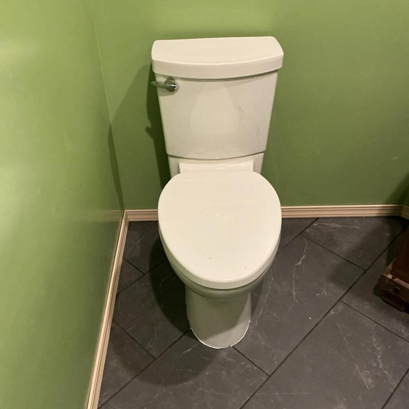Toilet installation in bathroom with green walls