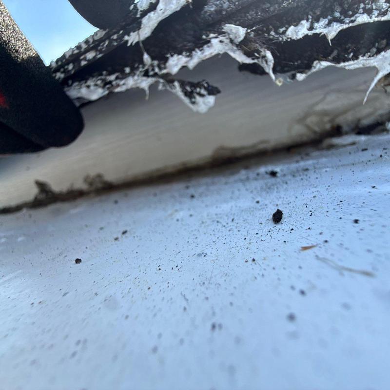 Roof shingles with sealant residue and debris buildup