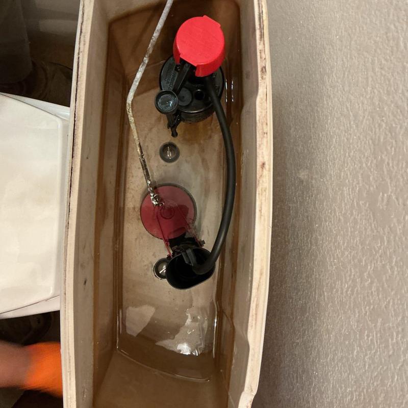Toilet tank flush valve and fill valve assembly