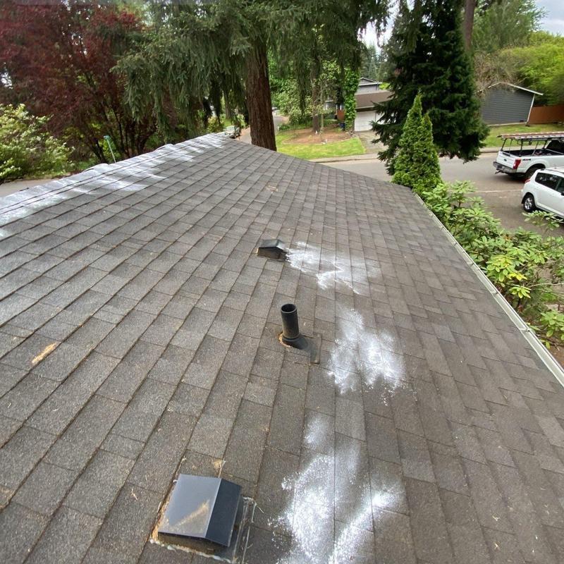 Asphalt shingle roof with moss treatment and cleaning