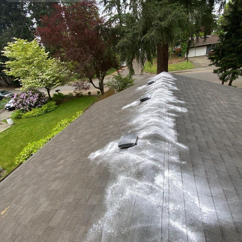 Roof shingles with moss treatment application in Kirkland, WA