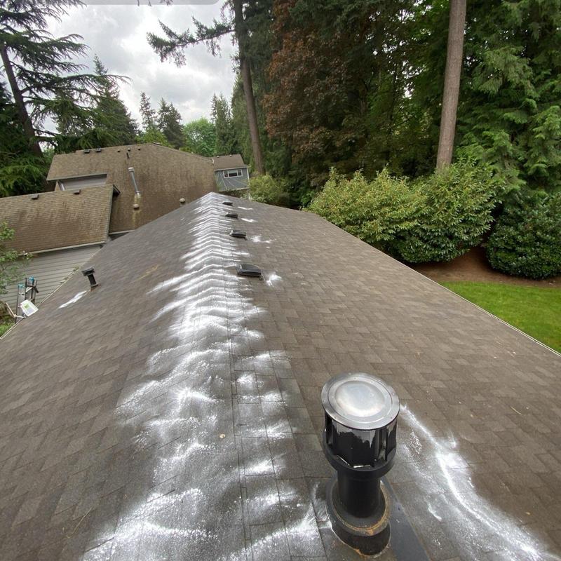 Roof ridge with white moss treatment powder applied