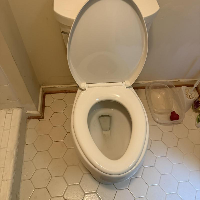 Kohler toilet bowl and seat in bathroom Kohler toilet bowl and seat in bathroom