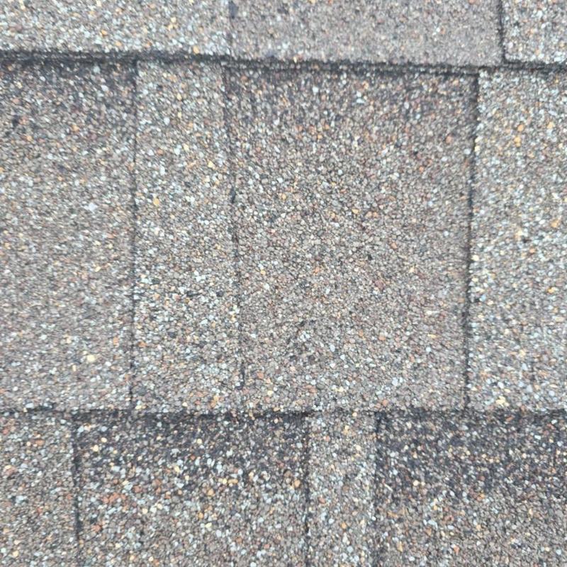 Asphalt shingles with outlined hail impact marks Asphalt shingles with outlined hail impact marks
