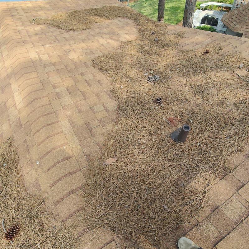 Roof valley clogged with pine straw and debris