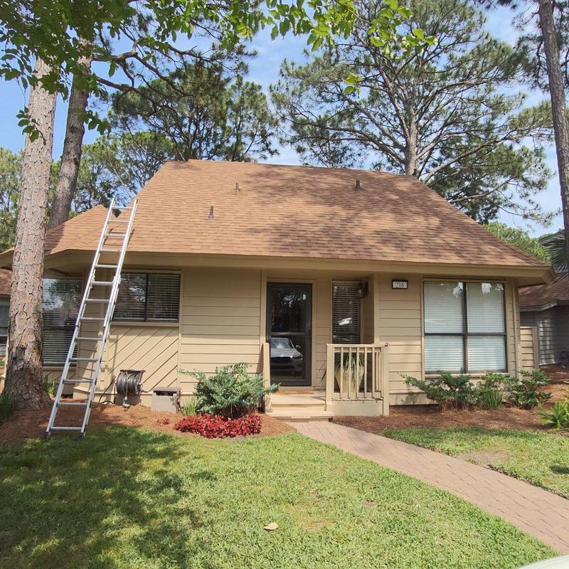 Roof with ladder for pine straw cleaning in yard