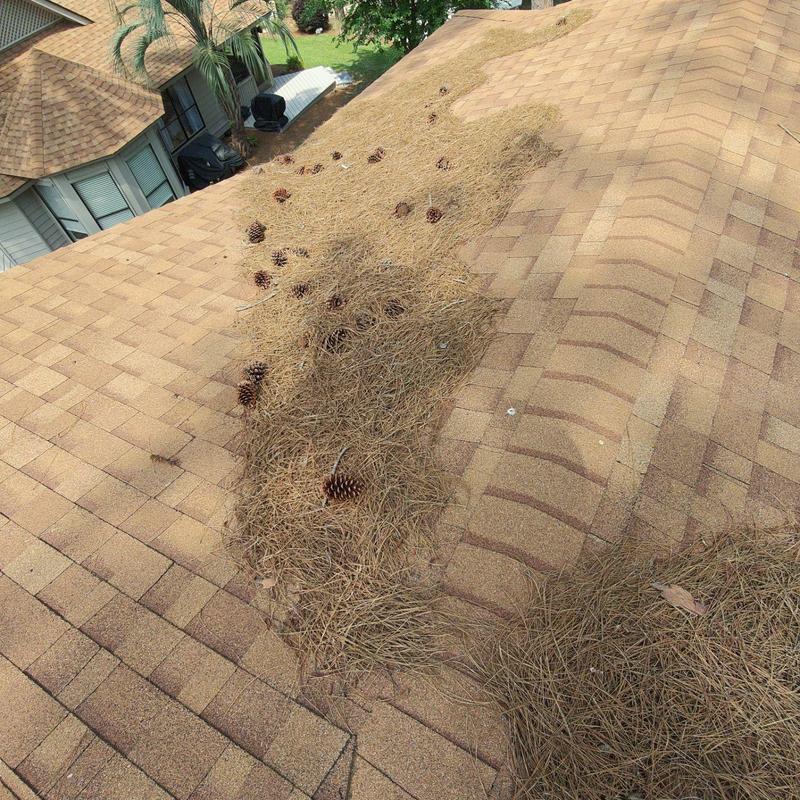 Asphalt shingle roof with heavy pine straw and pine cones