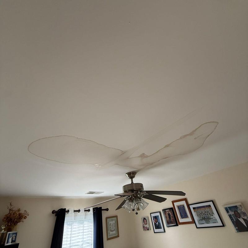 Ceiling water stain around ceiling fan blades