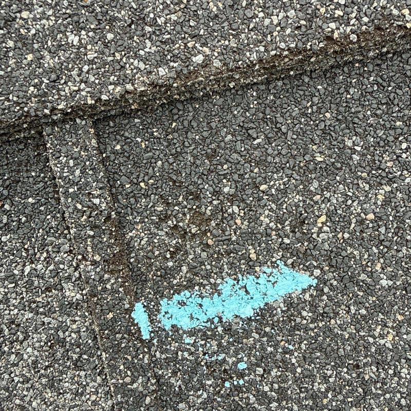 Asphalt shingles with hail damage marked by blue arrow