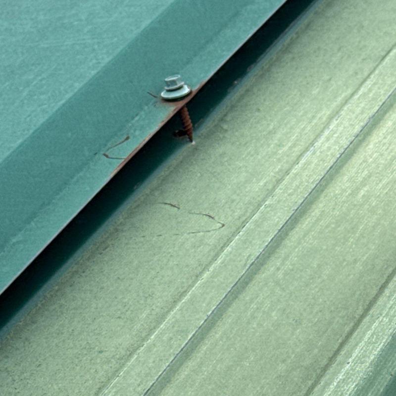 Metal roofing panel with screw fastener and sealing washer