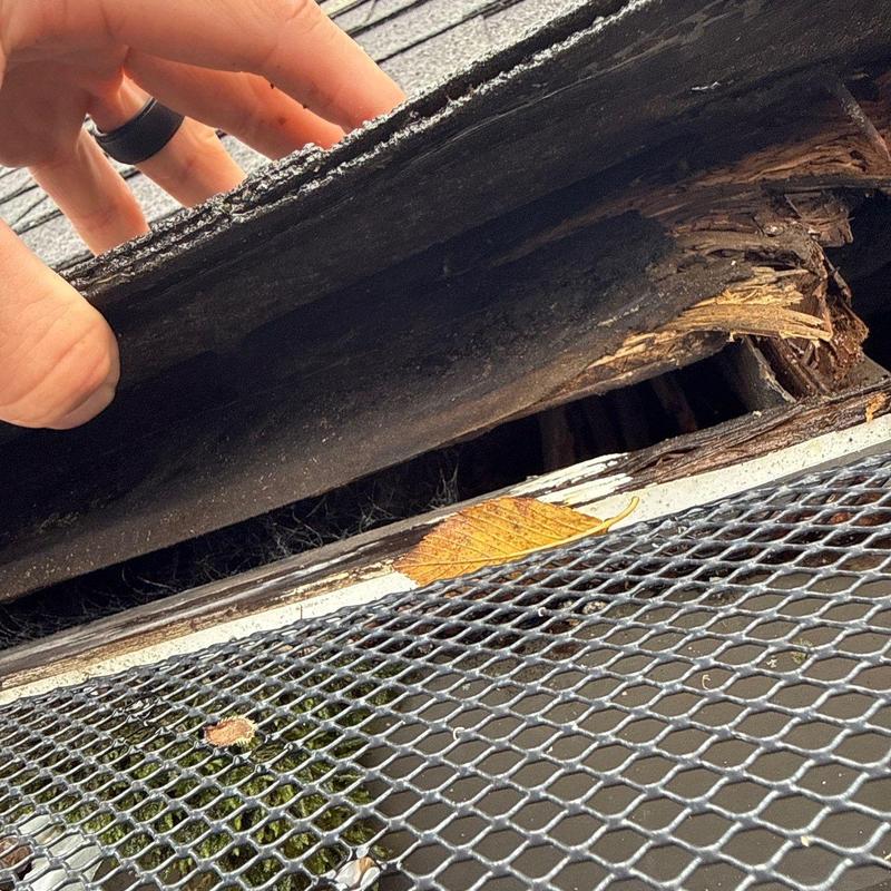 Roof fascia board with rot damage under shingles