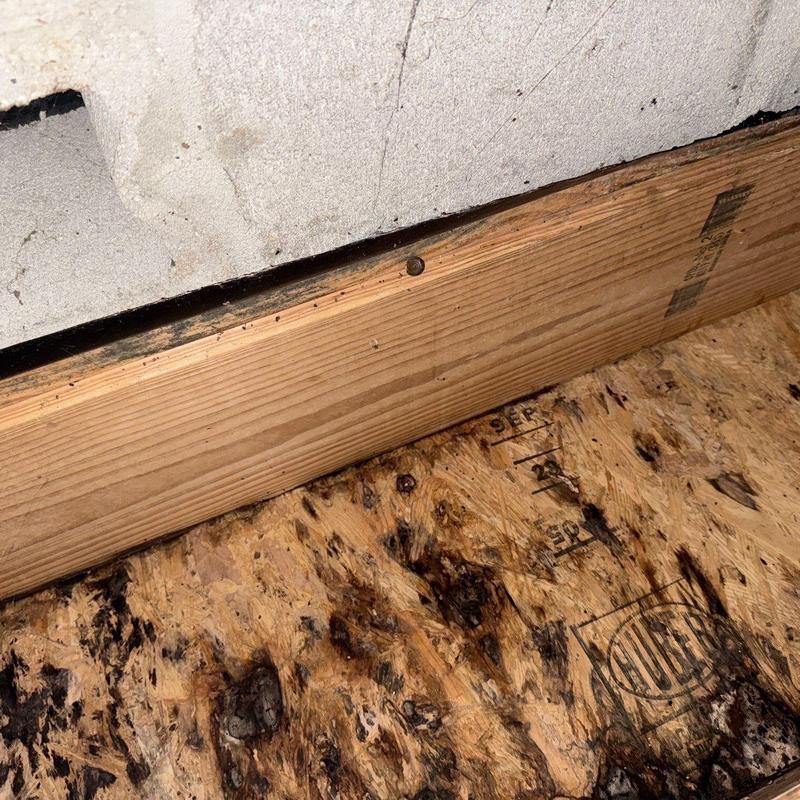 Floor joist and plywood subfloor water damage inspection