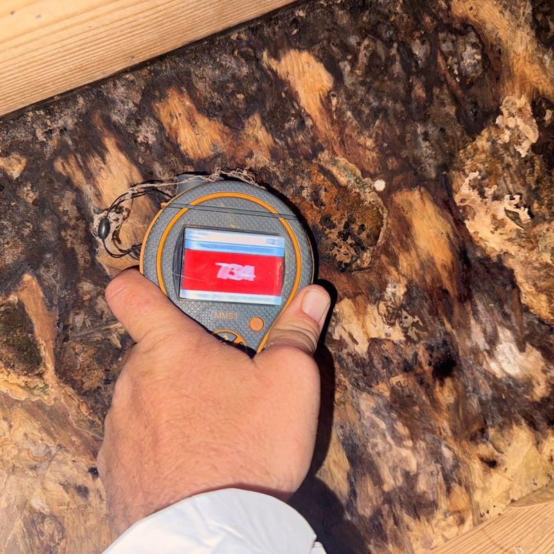 Moisture meter reading on water-damaged wood surface