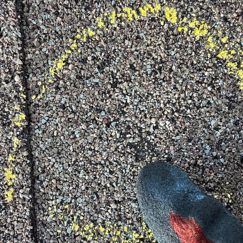Roof shingle hail damage marked with yellow circle
