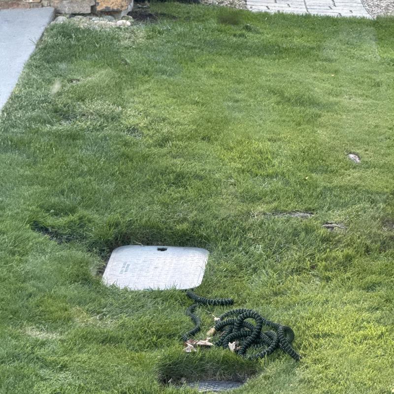 Backflow stop and drain with hose on grass lawn