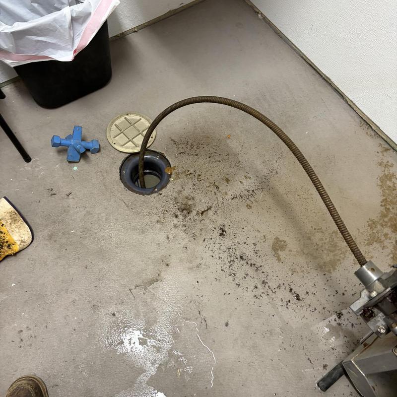 Floor drain plumbing snake clearing clog with debris on floor