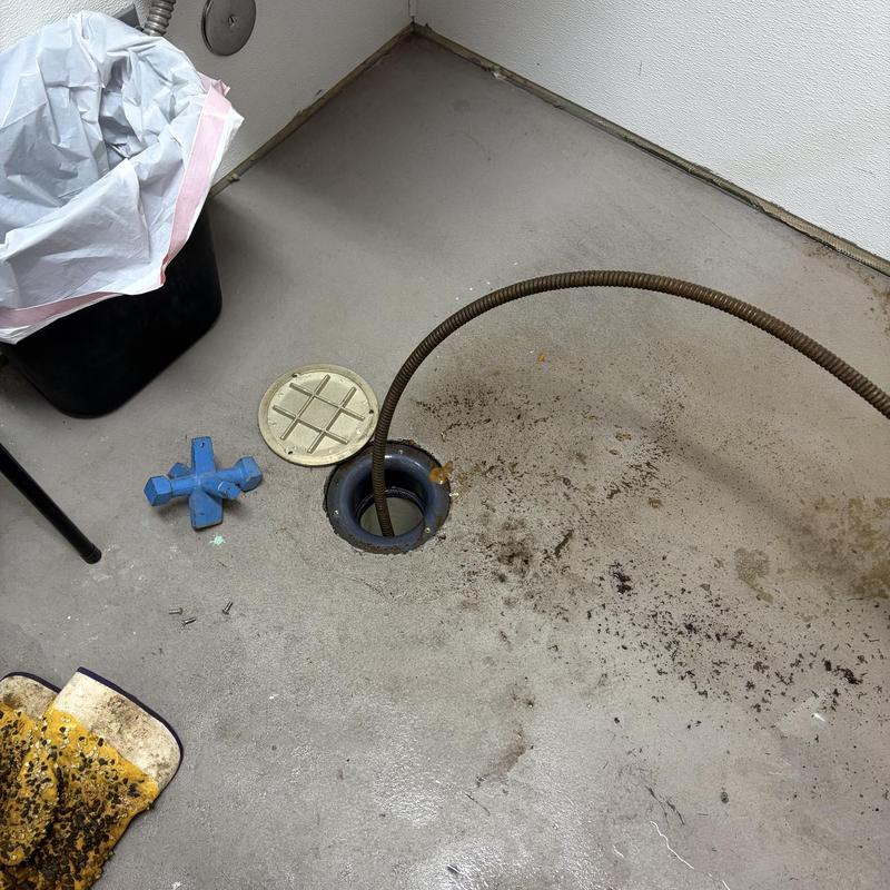 Floor drain with plumbing snake clearing blockage