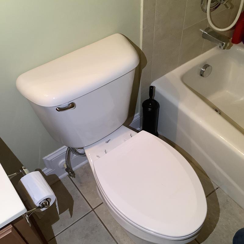 Toilet with replaced wax ring and bolts in bathroom Toilet with replaced wax ring and bolts in bathroom