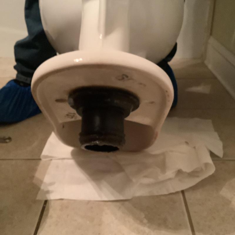 Toilet flange and wax ring on bathroom floor Toilet flange and wax ring on bathroom floor