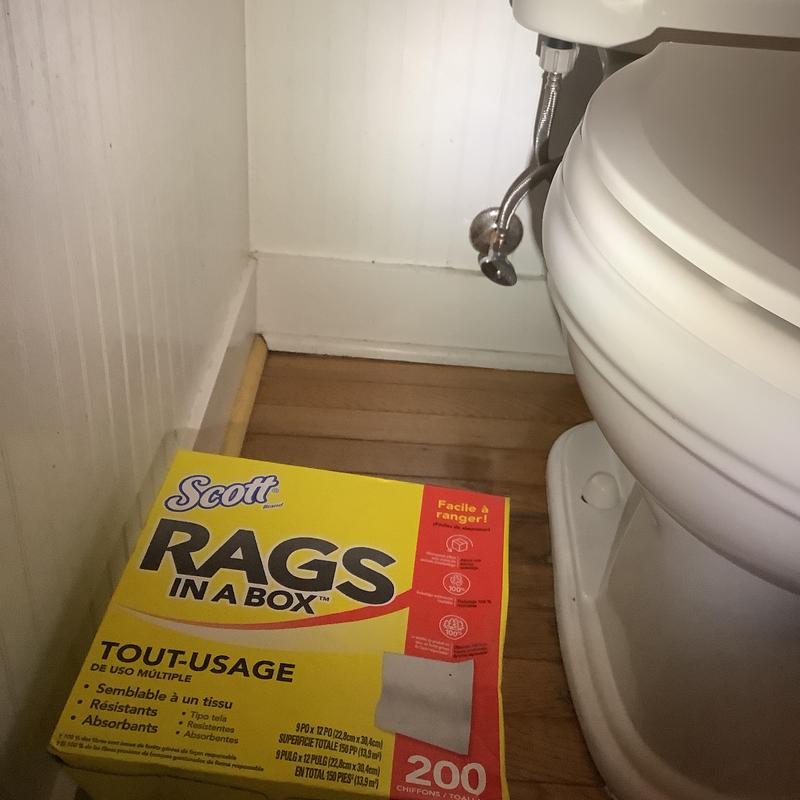 Toilet flange with new bolts and supply line Toilet flange with new bolts and supply line