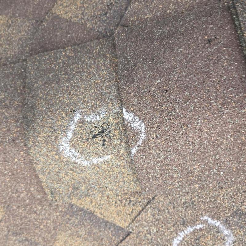 Architectural shingle hail damage marked for inspection Architectural shingle hail damage marked for inspection
