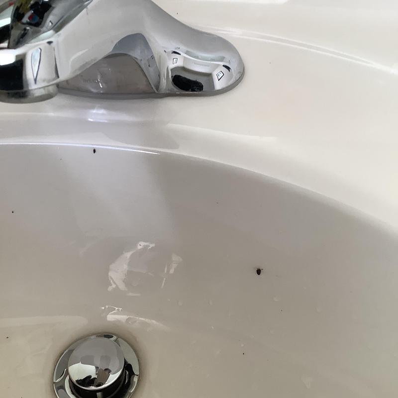 Delta single lever bathroom sink faucet and basin close-up Delta single lever bathroom sink faucet and basin close-up