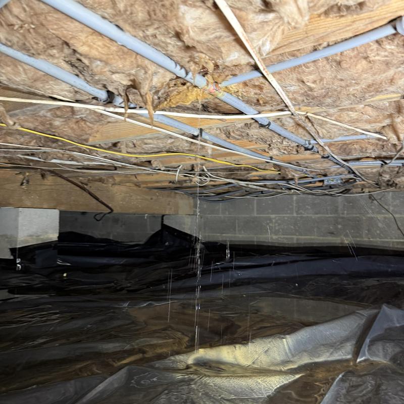 Quest piping waterline leak with ceiling insulation Quest piping waterline leak with ceiling insulation