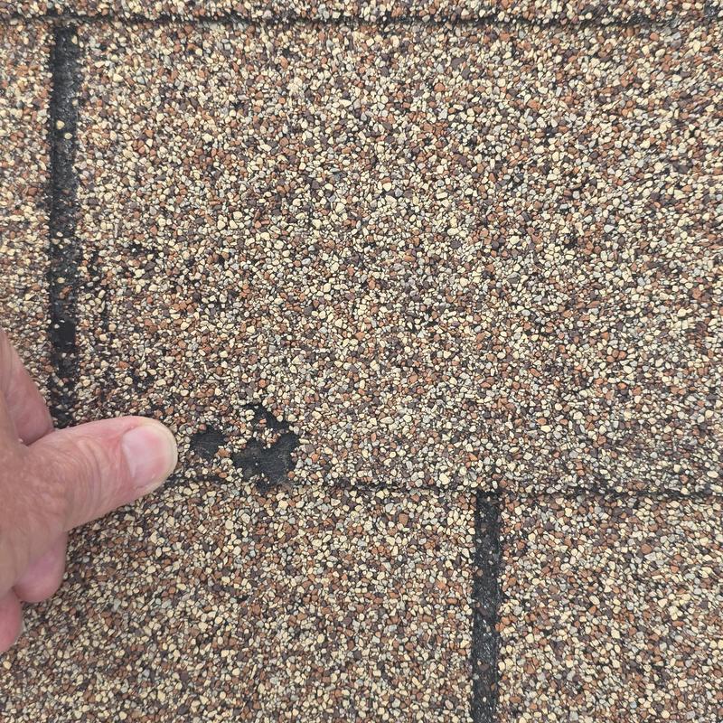 Asphalt roof shingle with hail damage marked by hand