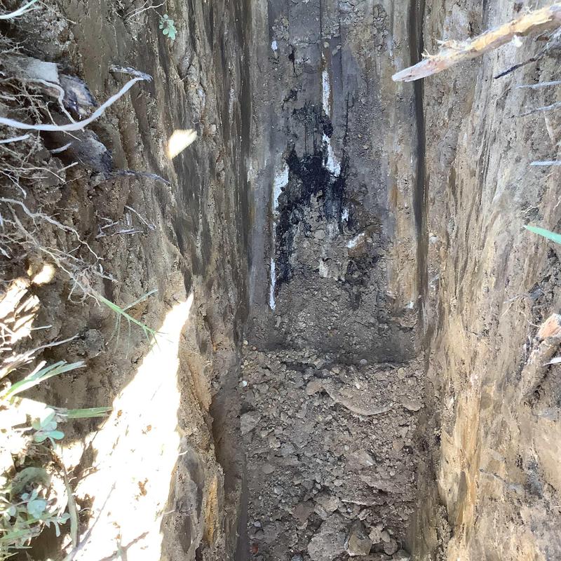 Sewer line trench excavation with root intrusion damage Sewer line trench excavation with root intrusion damage