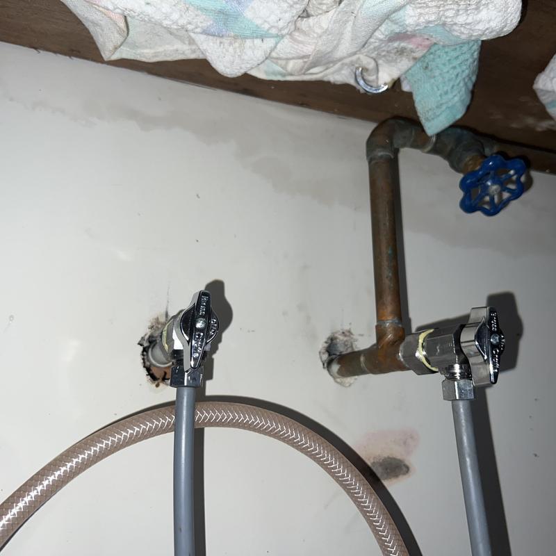 Kitchen sink shut off valves with supply hoses Kitchen sink shut off valves with supply hoses
