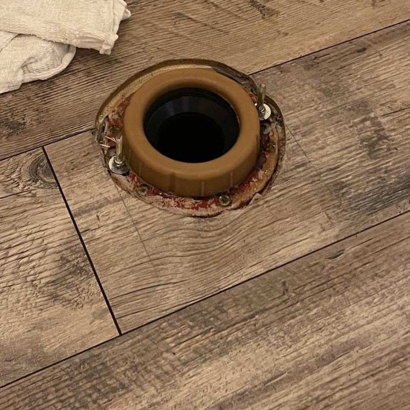 Toilet flange with new rubber wax ring installed