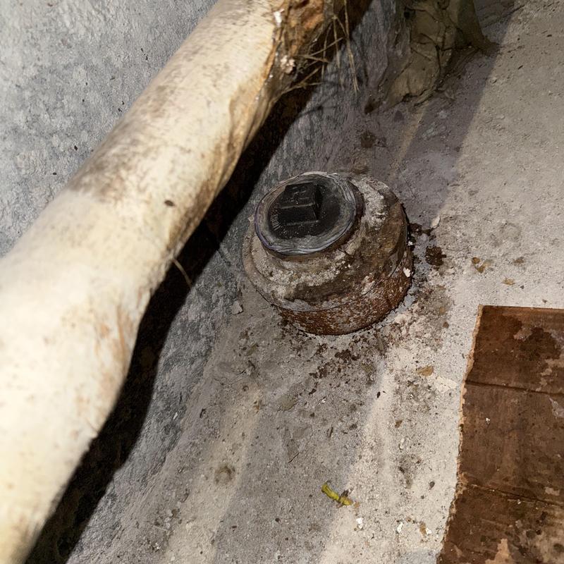 Main line cleanout cap in basement corner Main line cleanout cap in basement corner