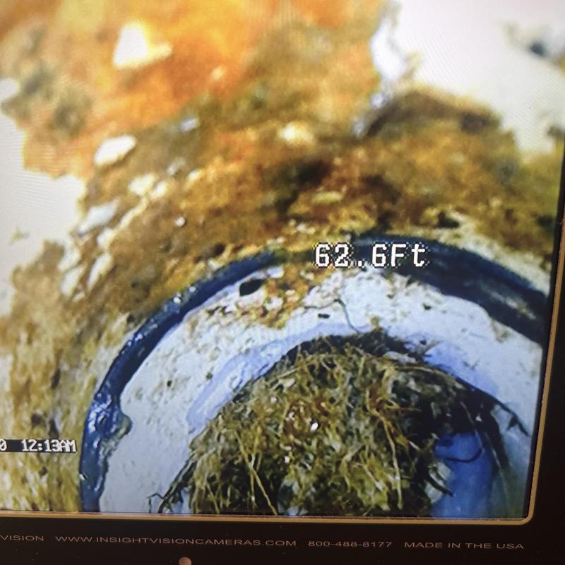 Sewer line interior with root intrusion at 62 feet Sewer line interior with root intrusion at 62 feet